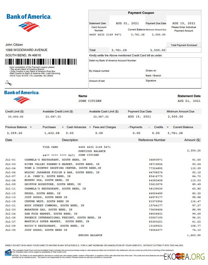 USA Bank of America EXCEL version 5